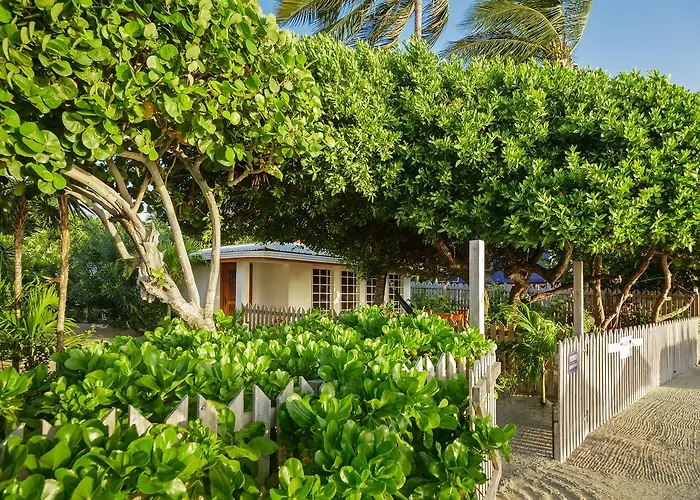 Weezie'S Ocean Front Hotel And Garden Cottages